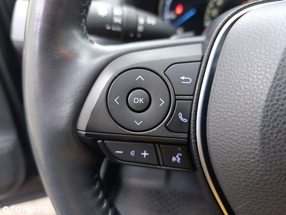 Toyota RAV4 2.5 Hybrid Executive 4x2 - 30