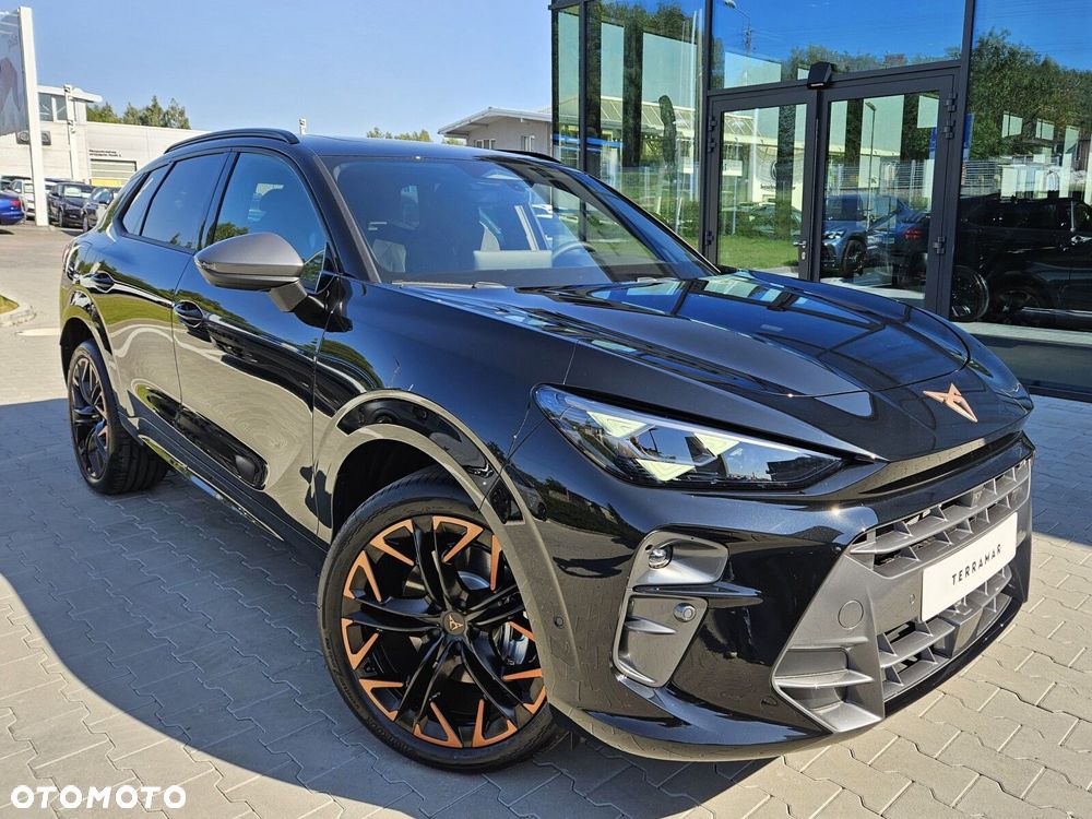 Cupra Terramar 2.0 TSI 4Drive VZ DSG - 4