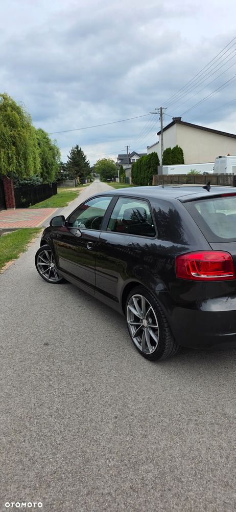 Audi A3 3-drzwiowe 1.6 TDI DPF Ambition - 10
