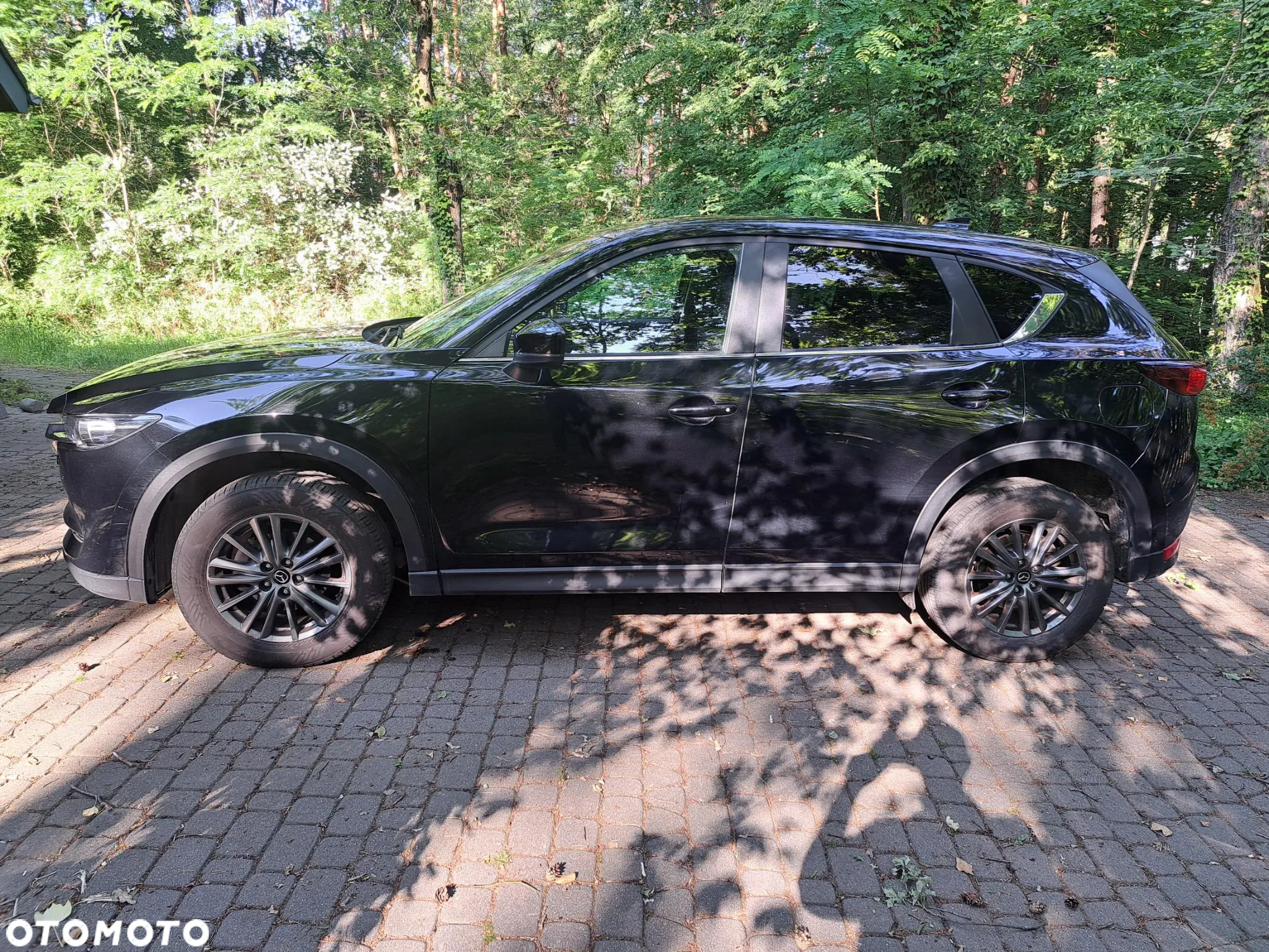 Mazda CX-5 2.0 Skyenergy 2WD - 8