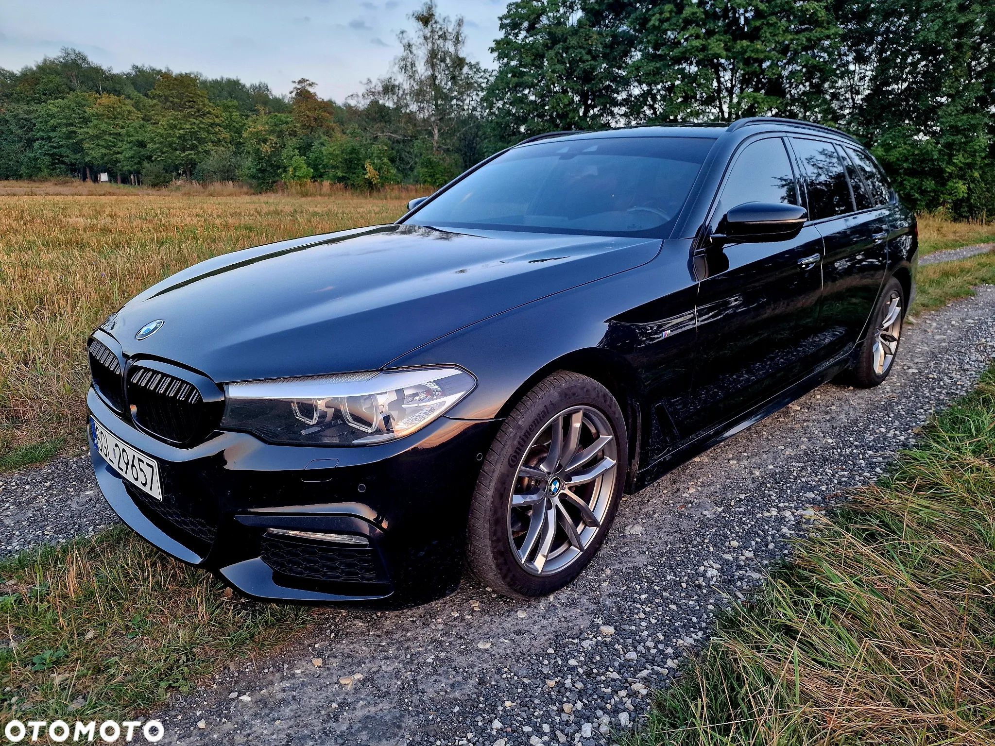 BMW Seria 5 520d M Sport - 1