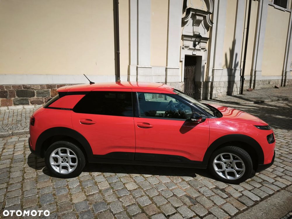 Citroën C4 Cactus 1.2 PureTech Shine S&S EAT6 - 28