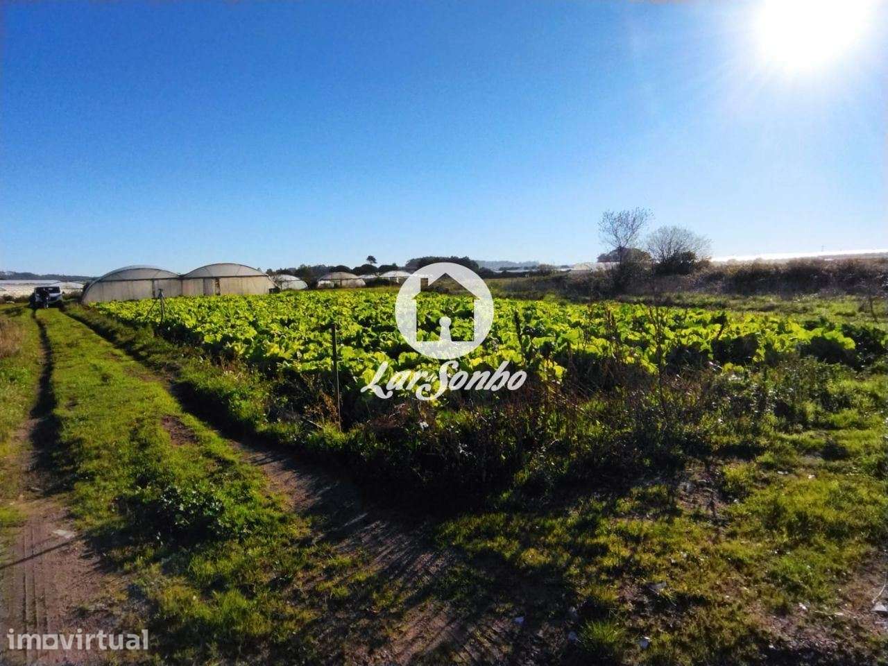 Terreno agrícola com 1.900m2, na Póvoa de Varzim - Grande imagem: 5/5