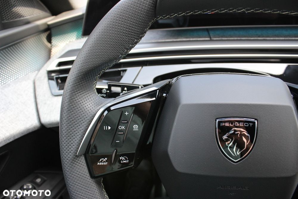 Peugeot 3008 - 17