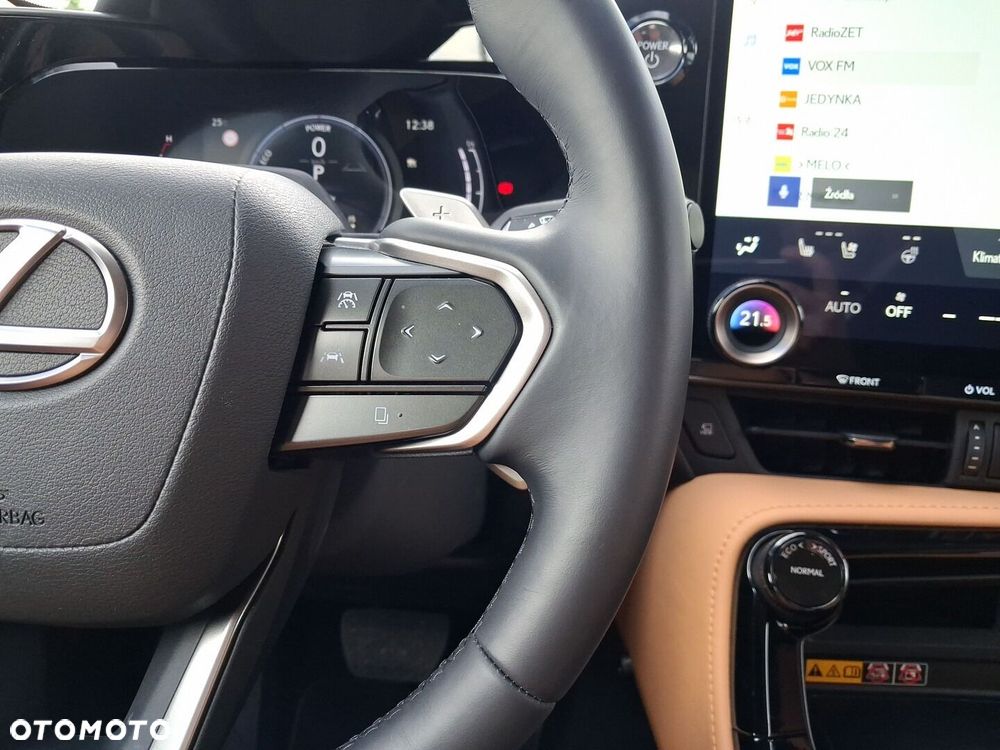 Lexus NX - 19