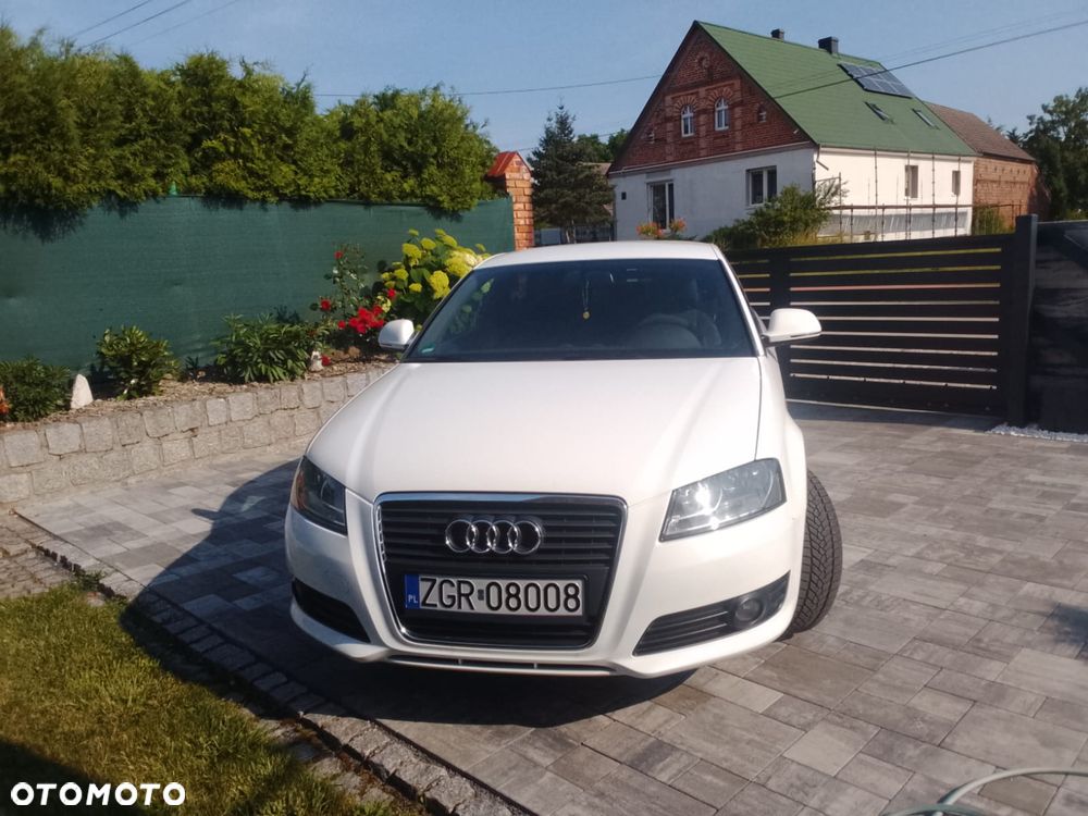 Audi A3 3-drzwiowe 1.6 Ambiente - 11