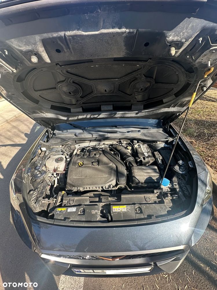 Cupra Formentor 1.5 TSI - 12