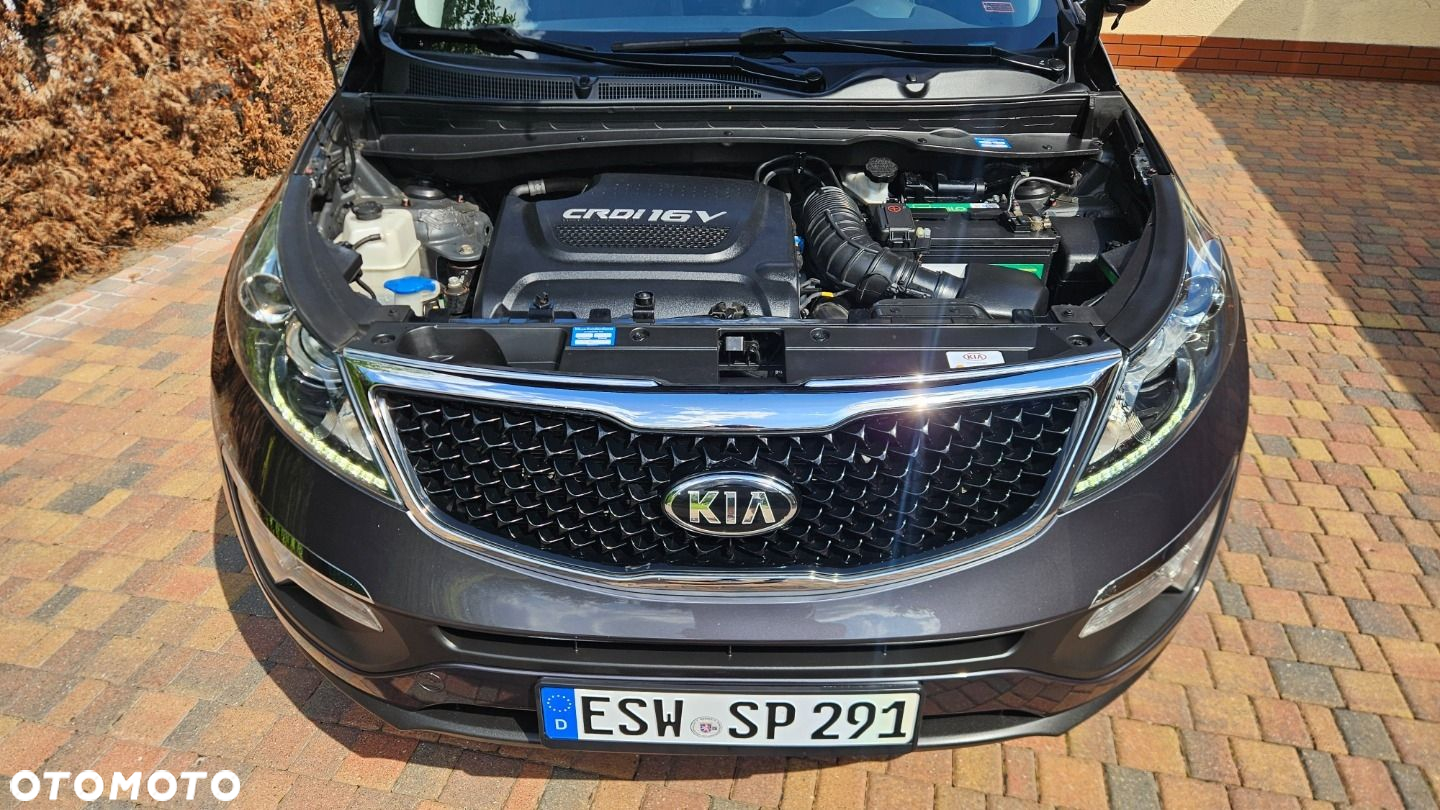 Kia Sportage - 16