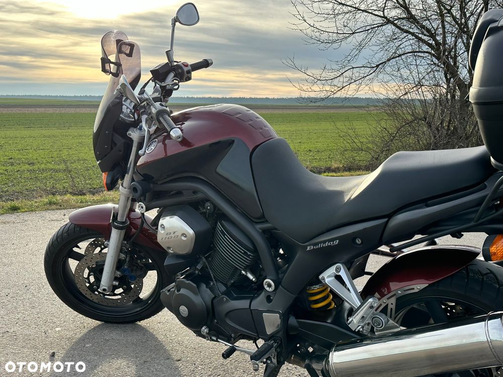 Yamaha Bulldog - 6