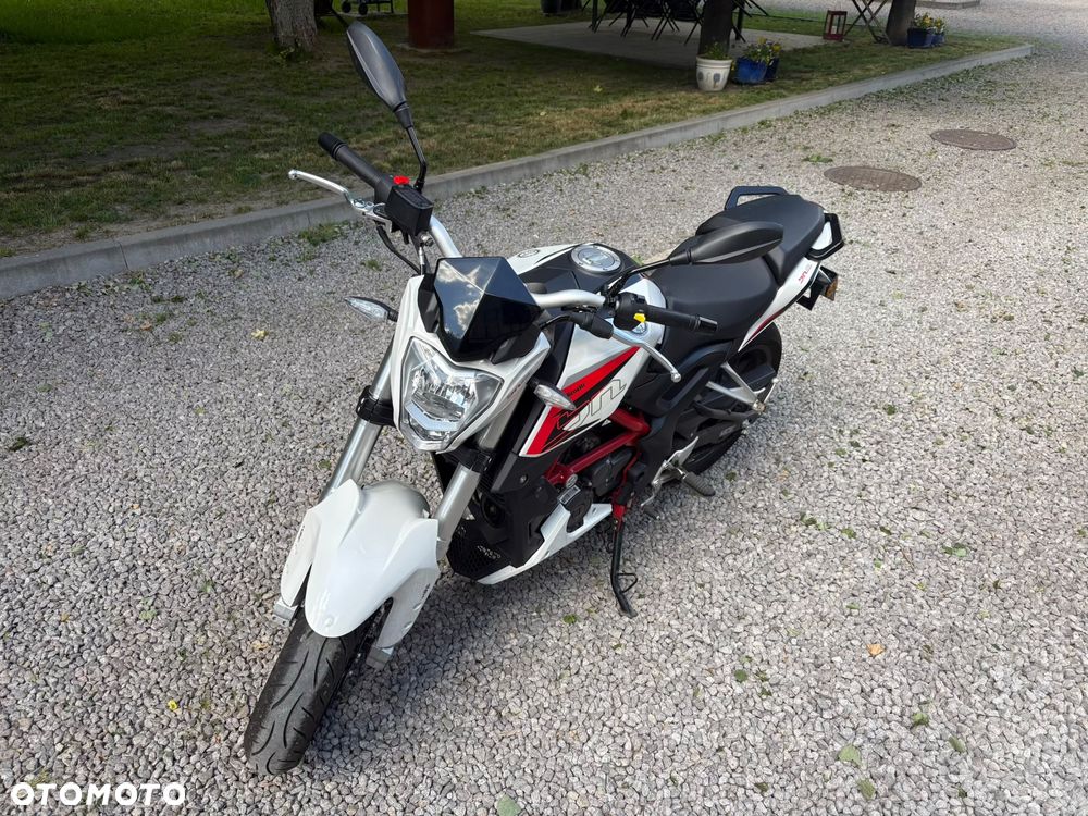 Benelli BN 251 - 2