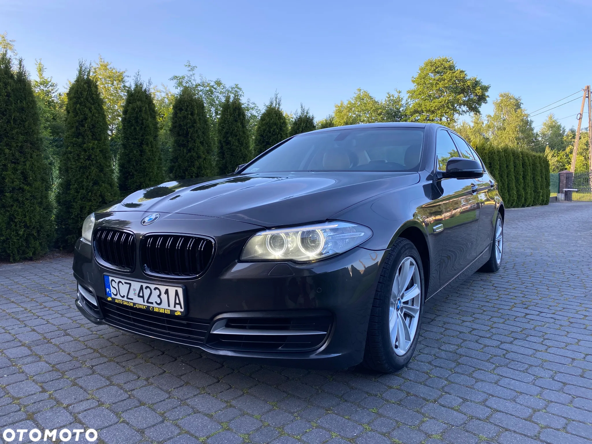 BMW Seria 5 520d - 5