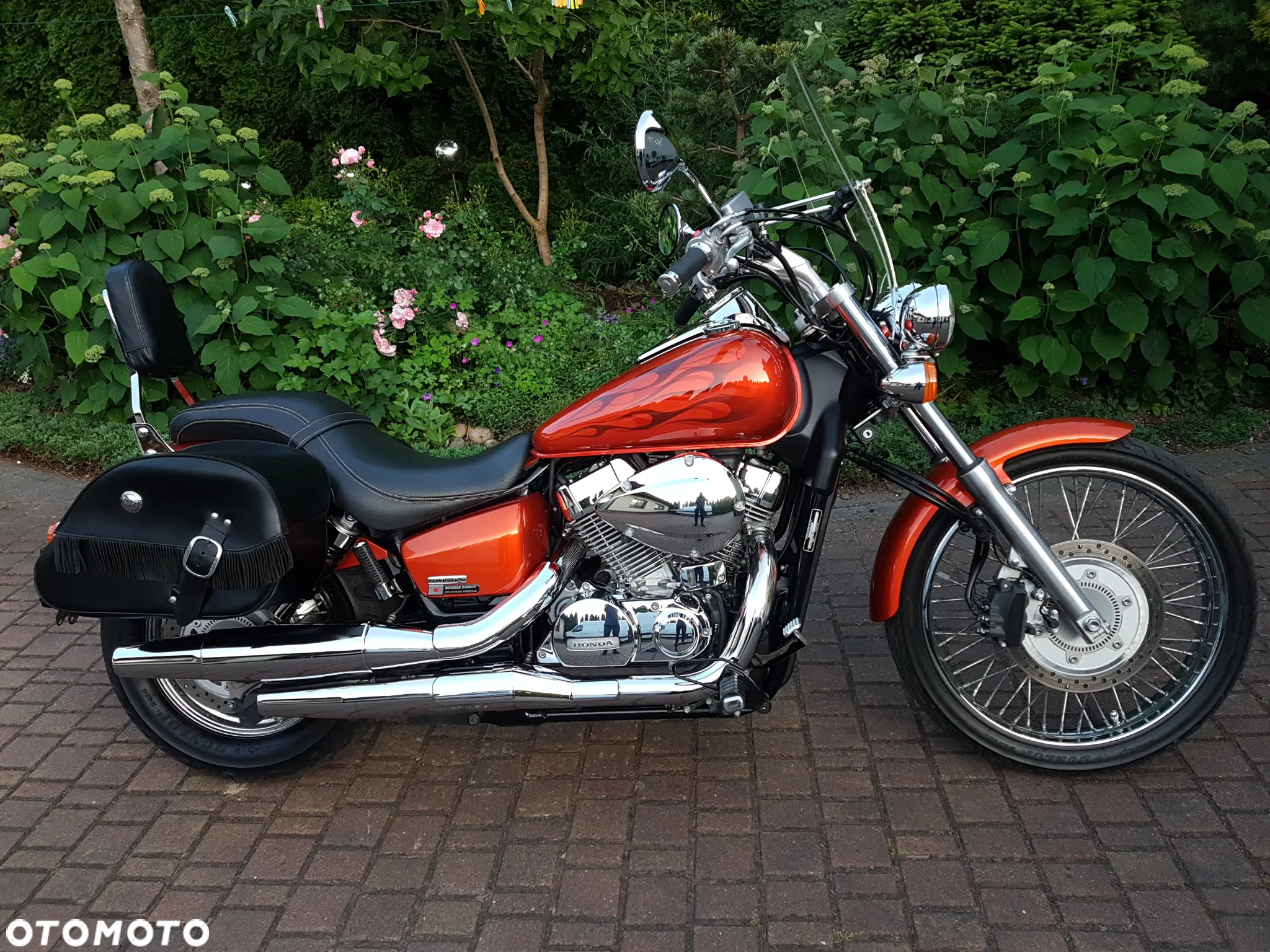 Honda Shadow - 4