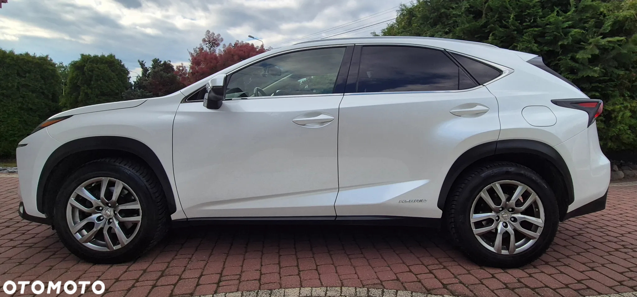 Lexus NX - 4