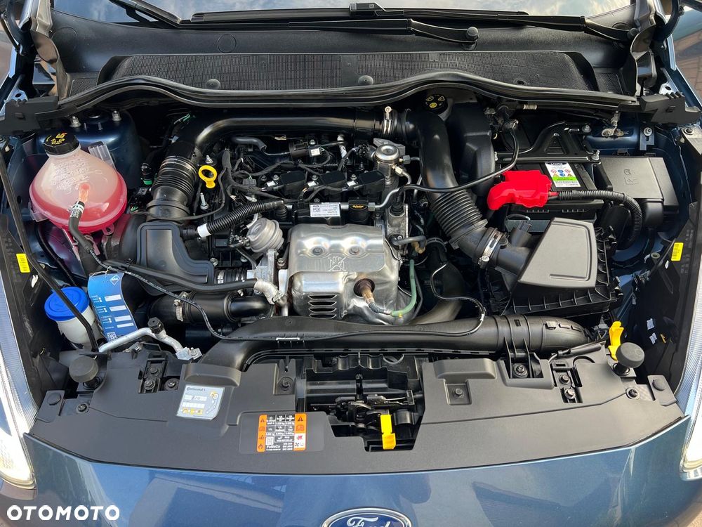 Ford Fiesta - 14