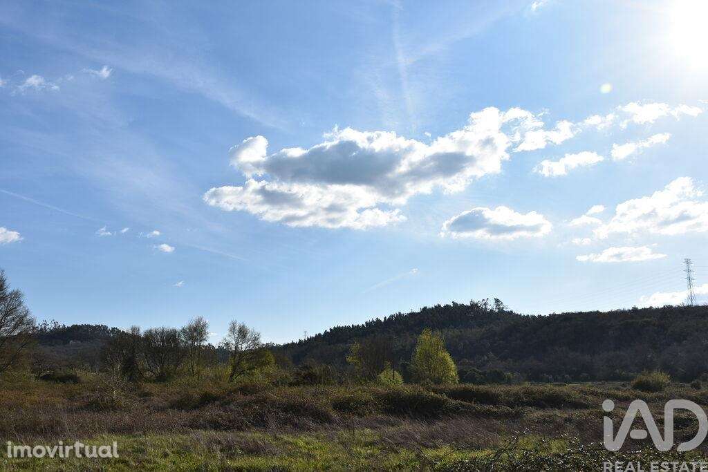 Terreno Agrícola em Chãos - Grande imagem: 4/13