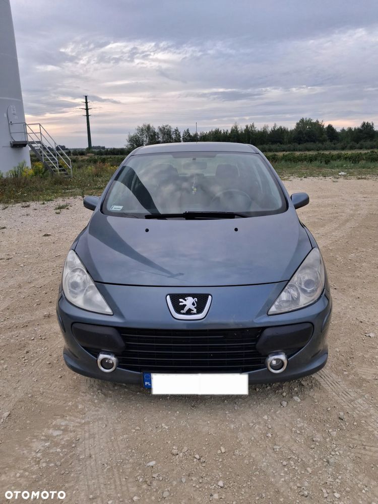 Peugeot 307 1.6 XS - 3
