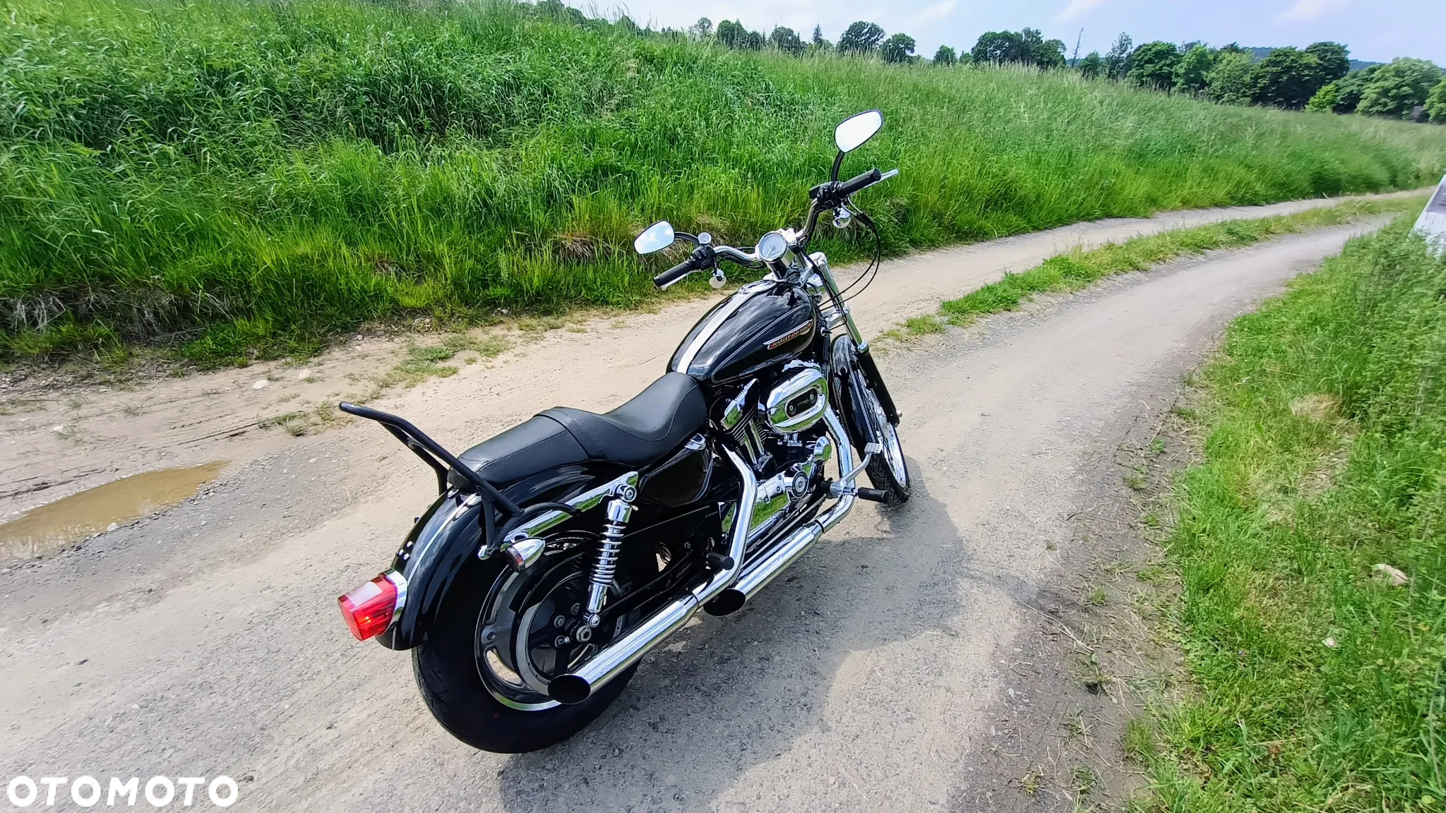 Harley-Davidson Sportster Custom 1200C - 4