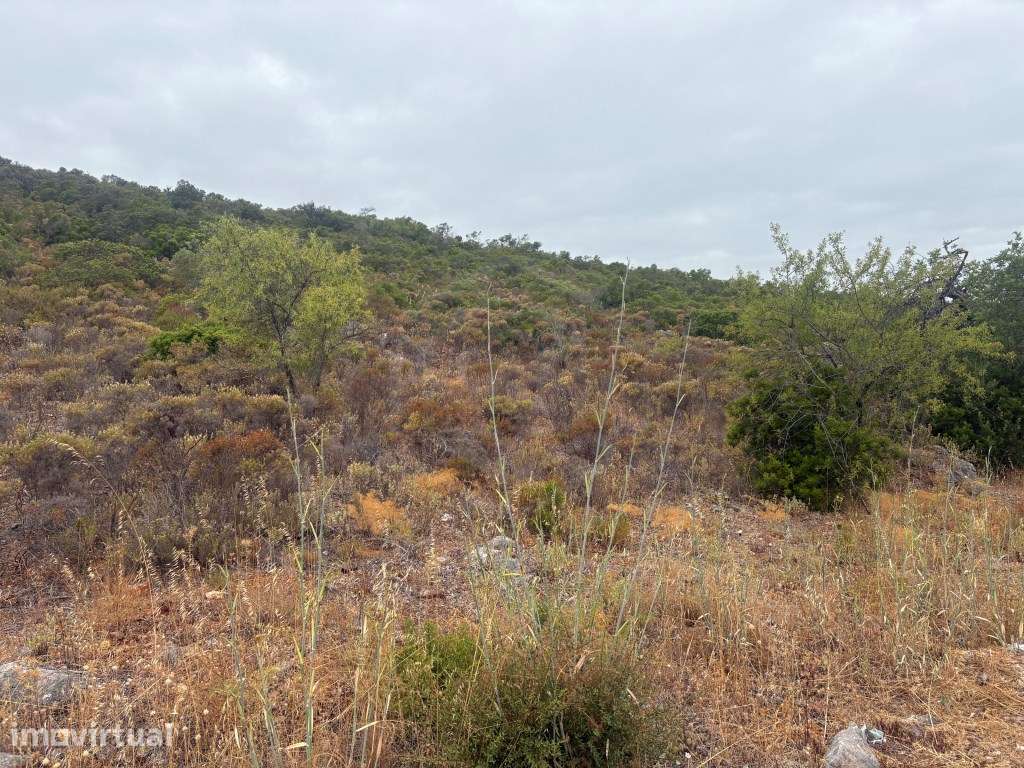 Terreno Agrícola de 10.900 m² entre Salir e Tôr, Algarve - Grande imagem: 3/16