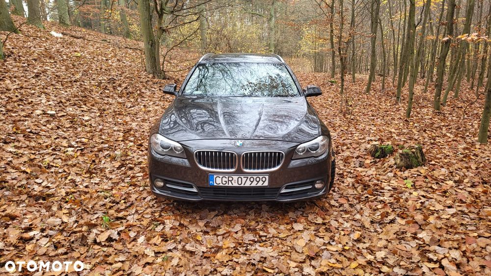 BMW Seria 5 520d - 8