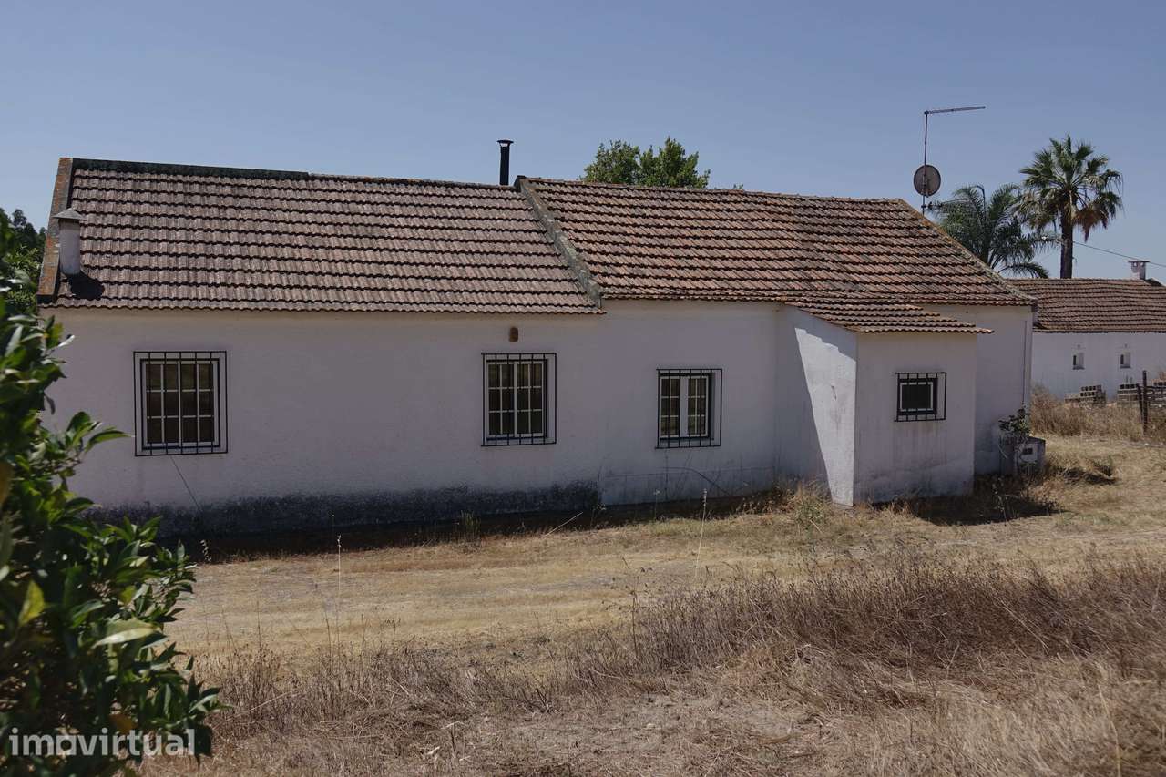 Quinta da Charneca Ribatejana - Zebro / Coruche - Grande imagem: 3/21