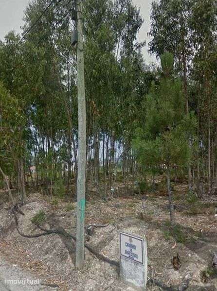 Terreno no caminho da Arrebenta - Sobreiro, Mafra - Grande imagem: 2/4
