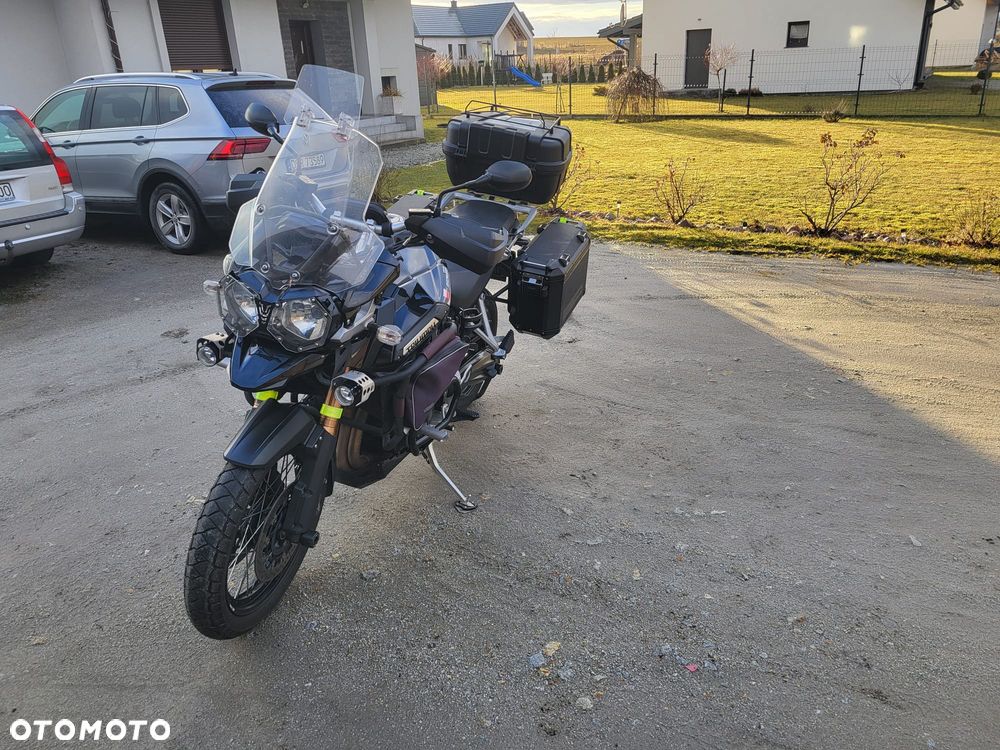 Triumph Tiger - 16