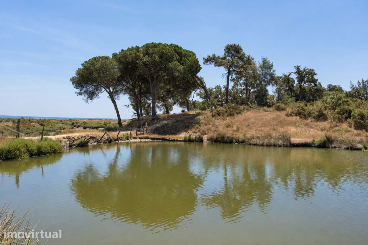 Quinta da Mourisca  5,2 ha no Estuário do Sado, c/projeto reabilitação - Grande imagem: 4/29