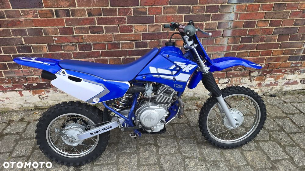 Yamaha TTR - 13