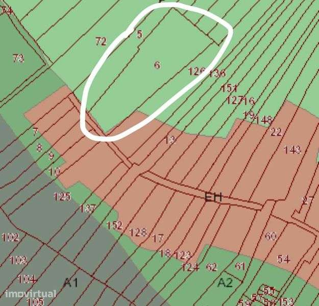Terreno Eucaliptal com Elevado Potencial de Valorização - Grande imagem: 2/2