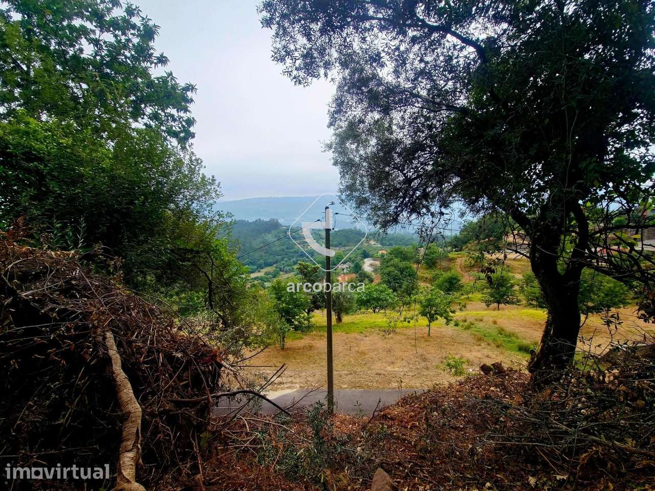Terreno Agrícola - Grande imagem: 3/28