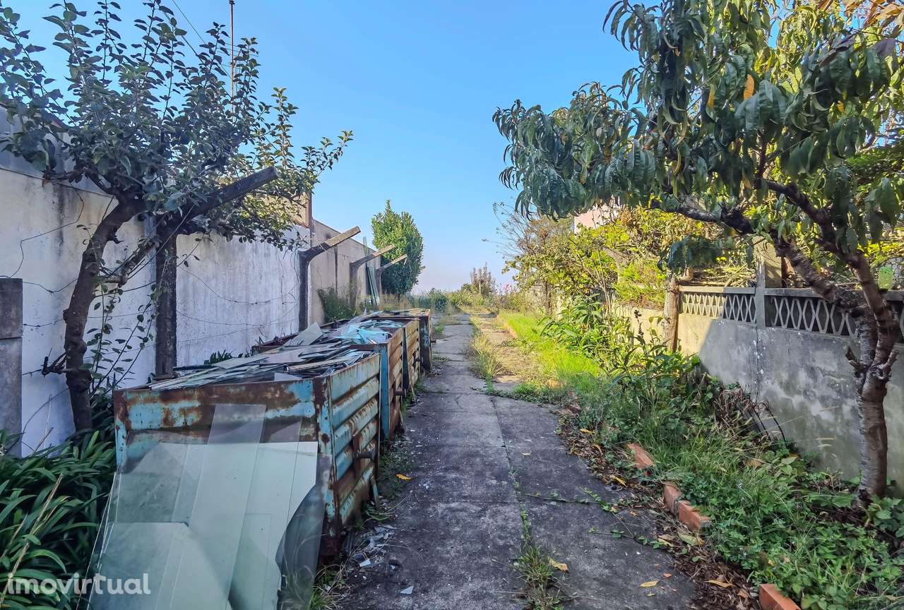 Moradia para Recuperar com Terreno 1270 m2 – Arcozelo, Vila Nova de G - Grande imagem: 3/22