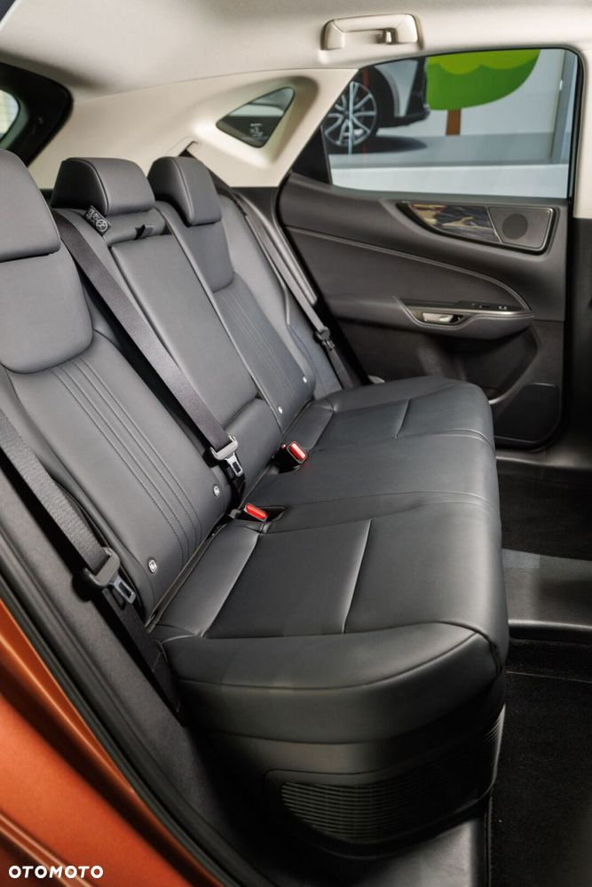 Lexus NX - 19