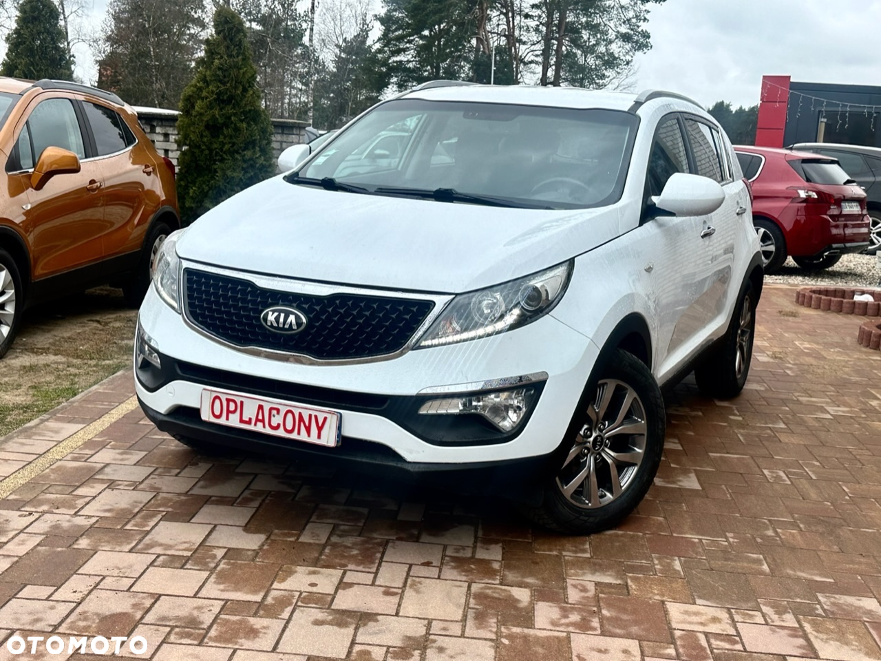 Kia Sportage - 6