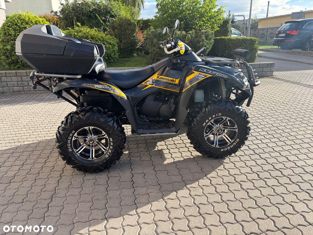 Kawasaki Brute Force - 5
