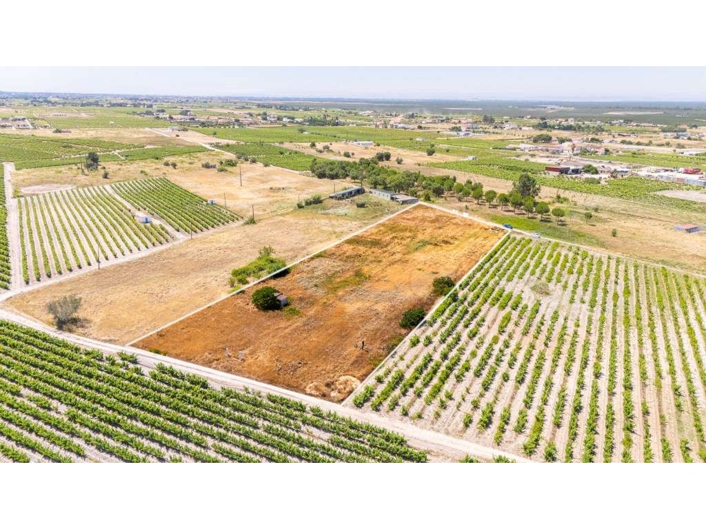 Terreno com 9.260m2 em Palmela com Potencial Construtivo (Zonamento... - Grande imagem: 2/11