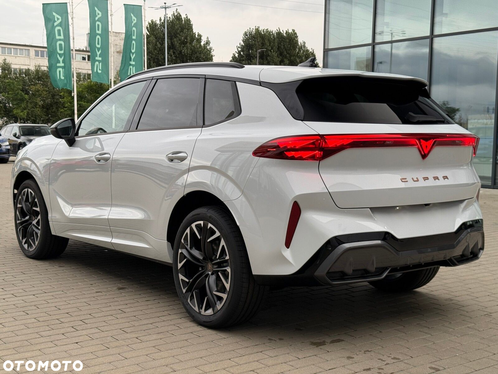 Cupra Terramar 2.0 TSI 4Drive Advantage Edition DSG - 16