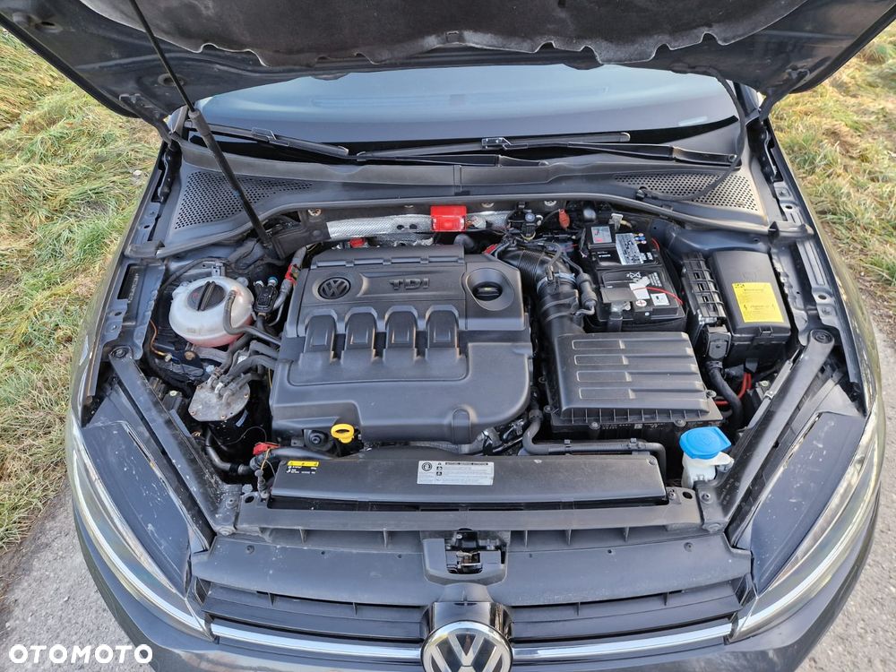 Volkswagen Golf - 35