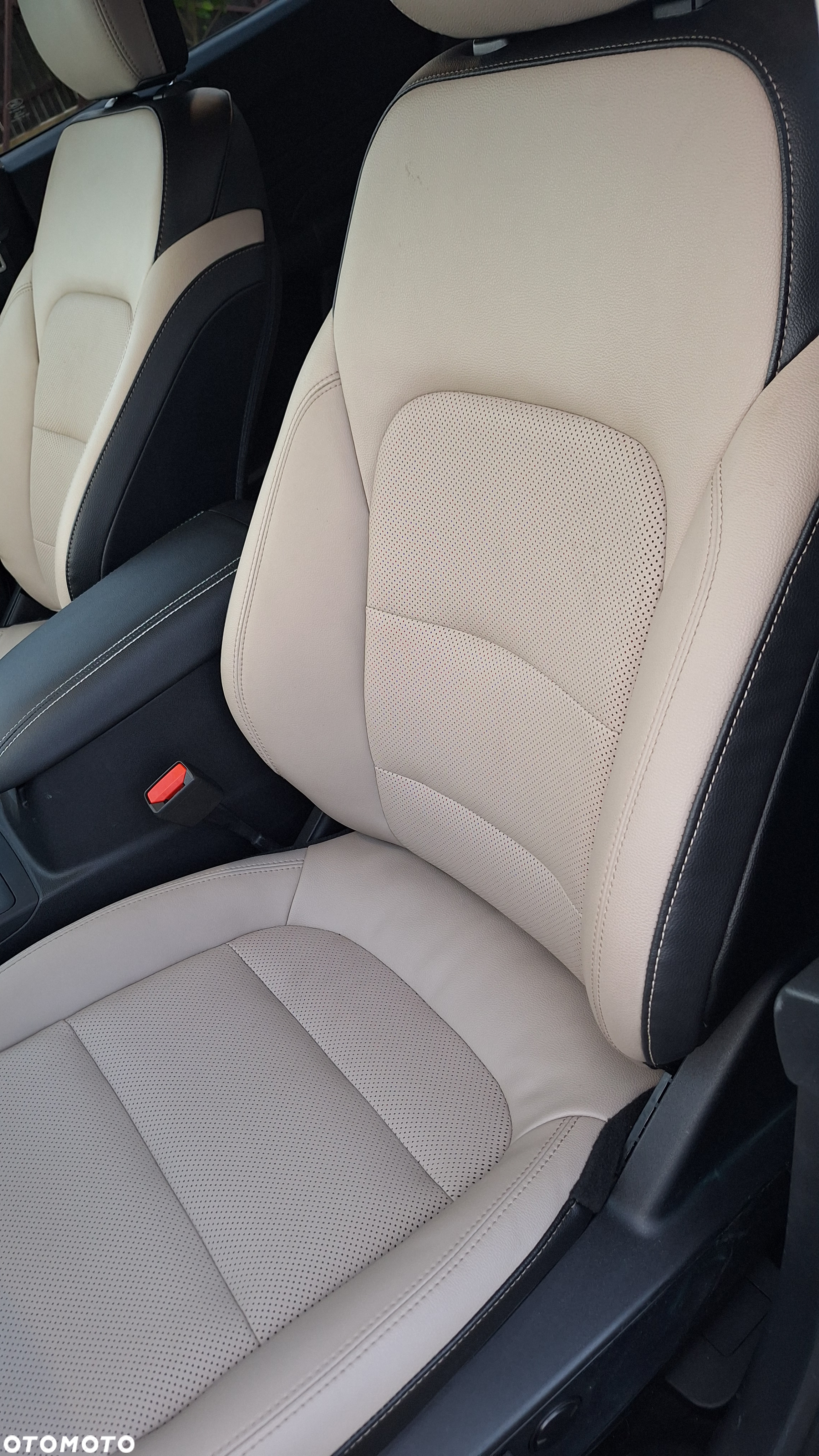 Ford Escape 1.5 EcoBoost AWD SE - 18
