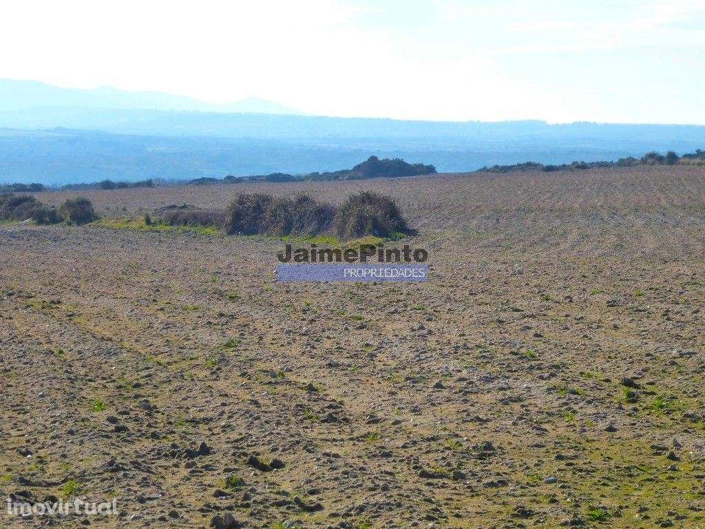 10,9ha de terra plana para plantações. Portugal, F. C. Rodrigo, Bar... - Grande imagem: 4/6