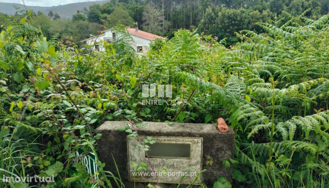 Terreno de construção para venda, Venade, Caminha - Grande imagem: 5/11
