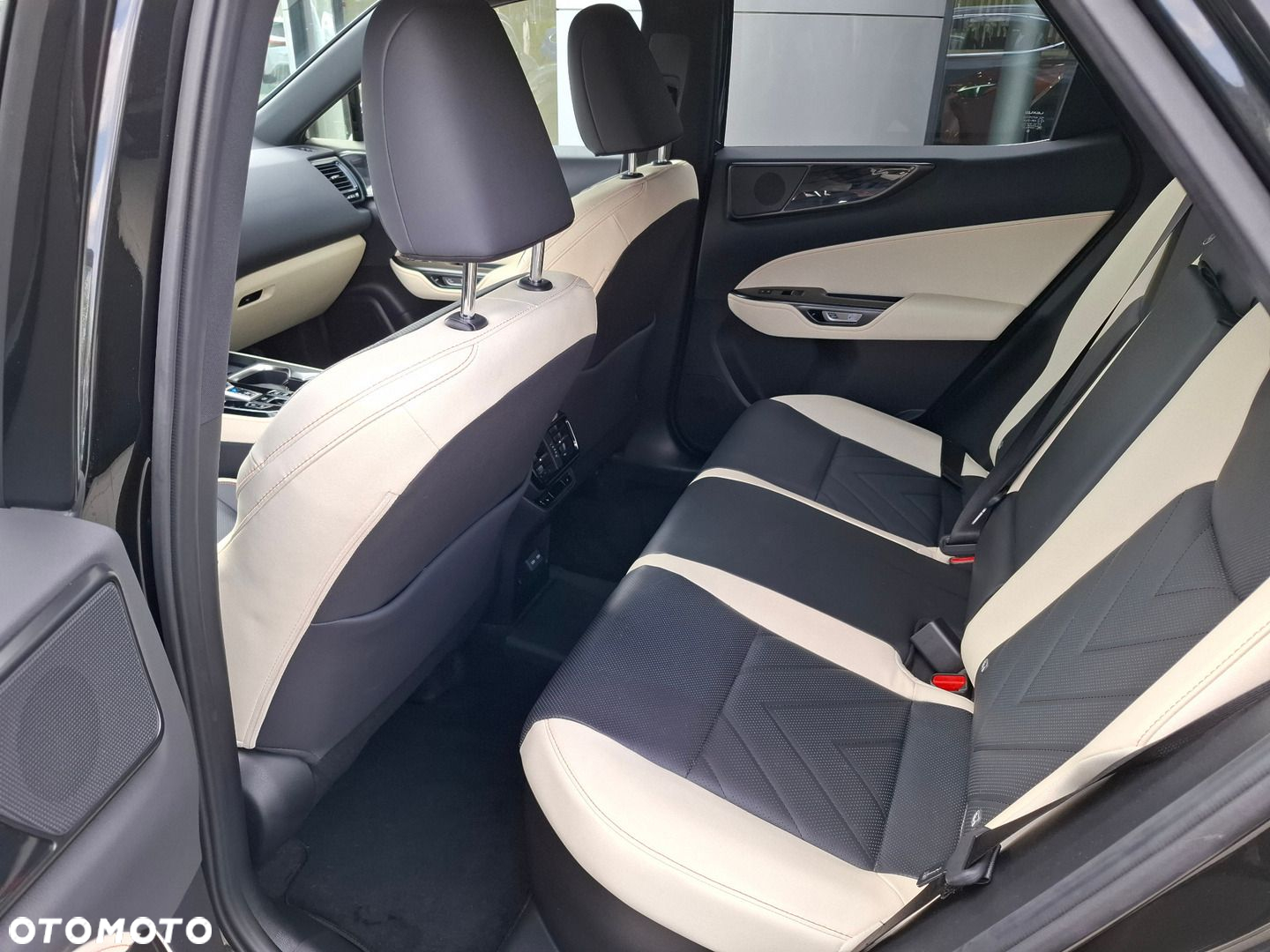 Lexus NX - 15