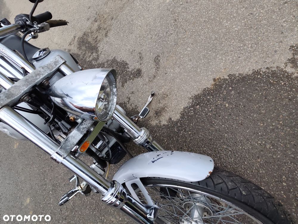 Harley-Davidson Softail Standard - 10