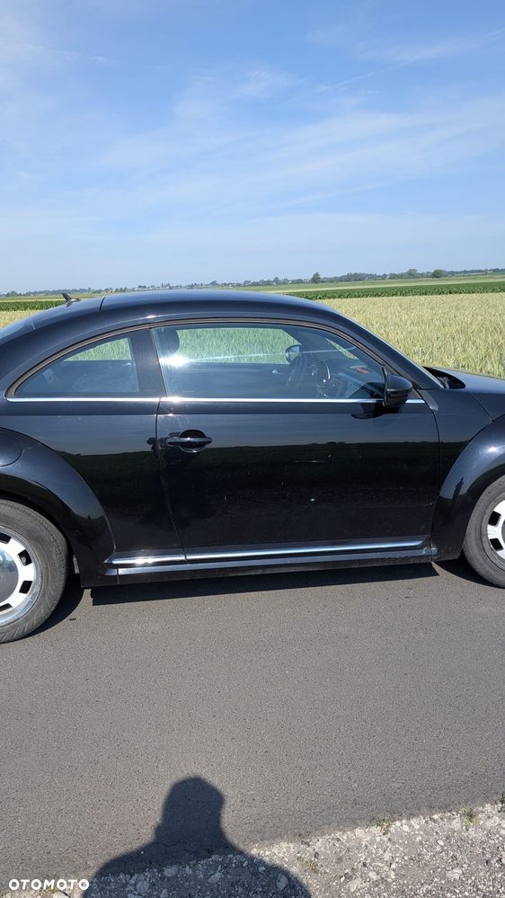 Volkswagen Beetle - 6