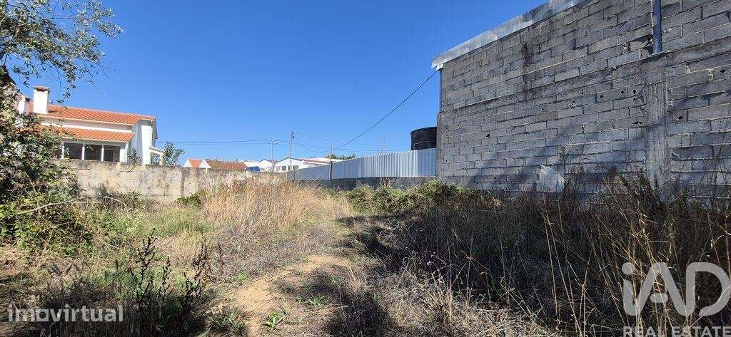 Terreno em Pedreiras - Grande imagem: 5/13