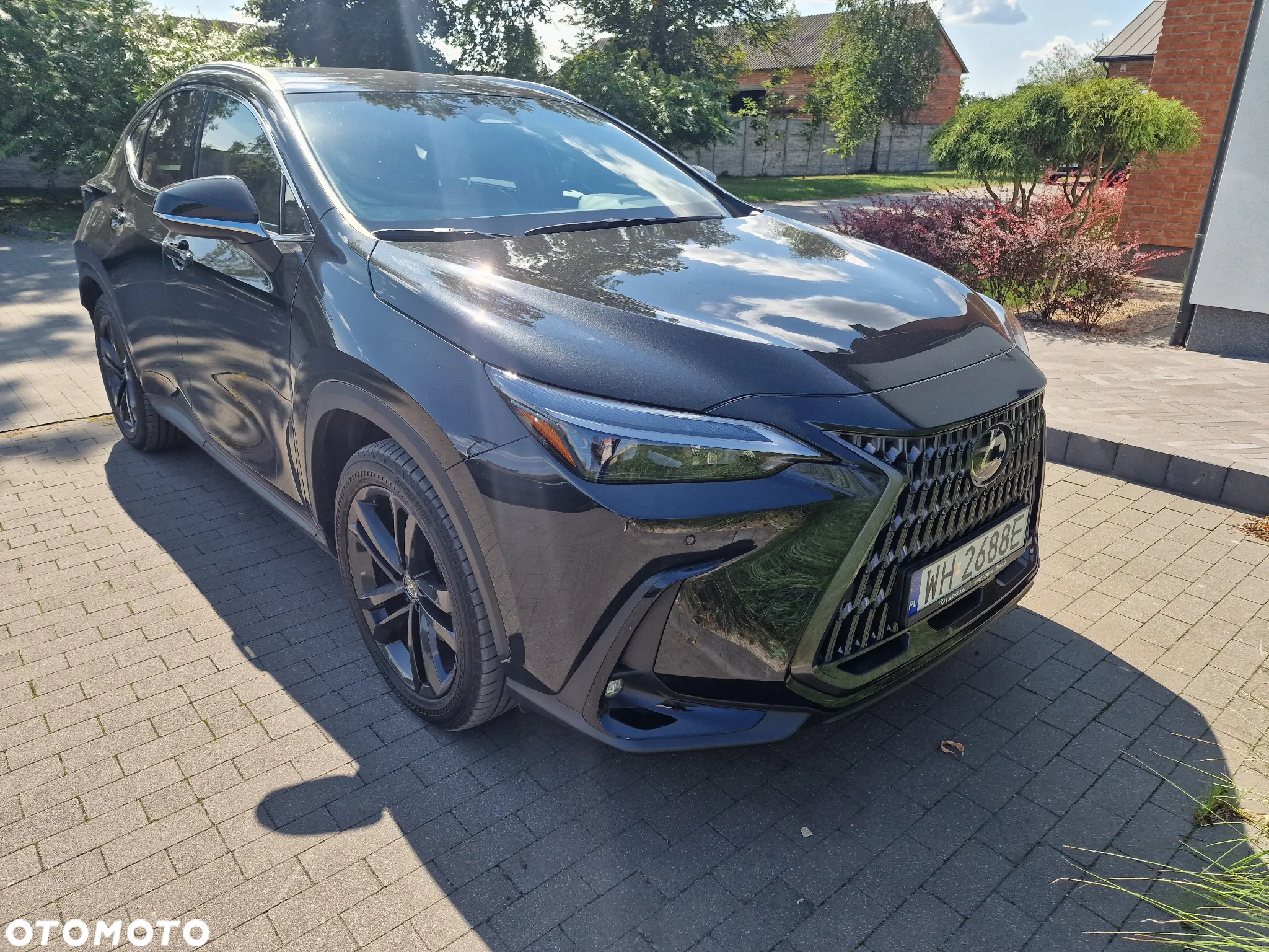 Lexus NX 350h Prestige 2WD - 9
