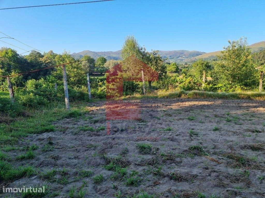 Terreno agrícola, Pico - Grande imagem: 3/12