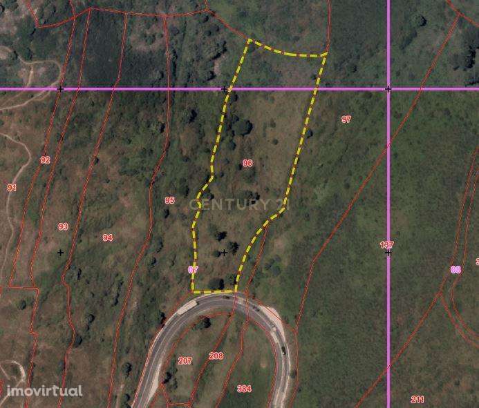 TERRENO EM MALVEIRA DA SERRA - Grande imagem: 3/16