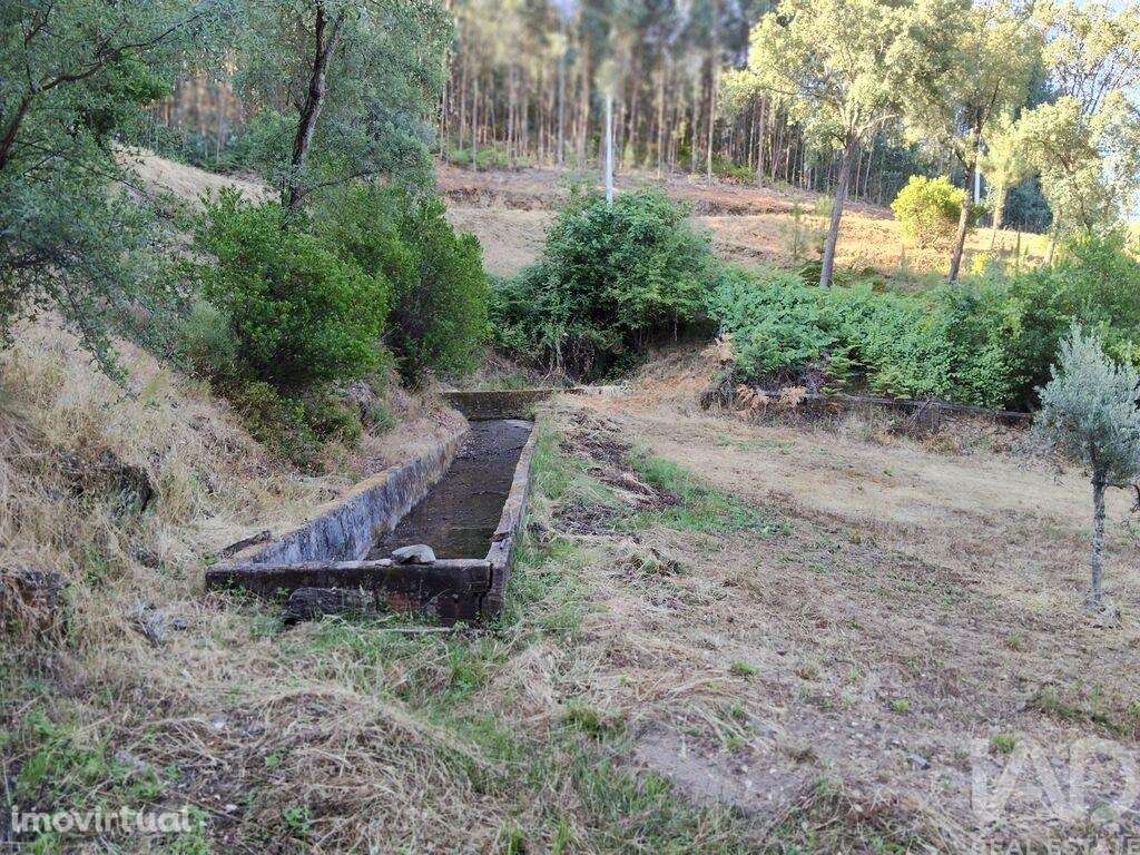 Casa de Campo em Madeirã de 124,00 m2 - Grande imagem: 5/30