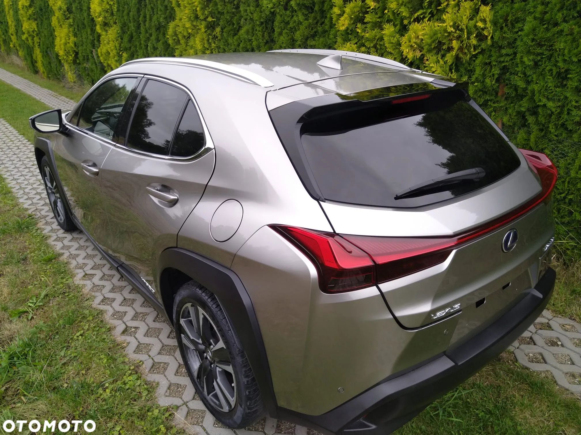 Lexus UX 250h GPF Business Edition AWD - 1