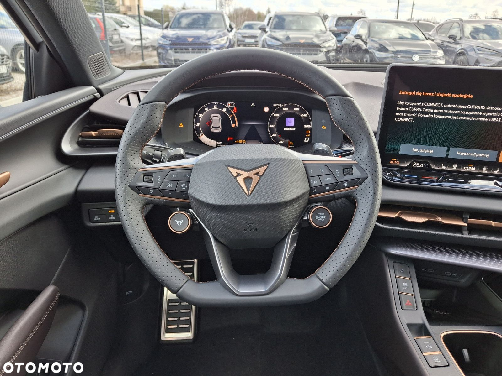 Cupra Terramar - 14